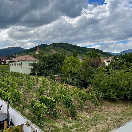Alsacebnb - Gite 12 Personnes Dans Le Vignoble - Piscine Privee & Spa Ammerschwihr Eksteriør bilde