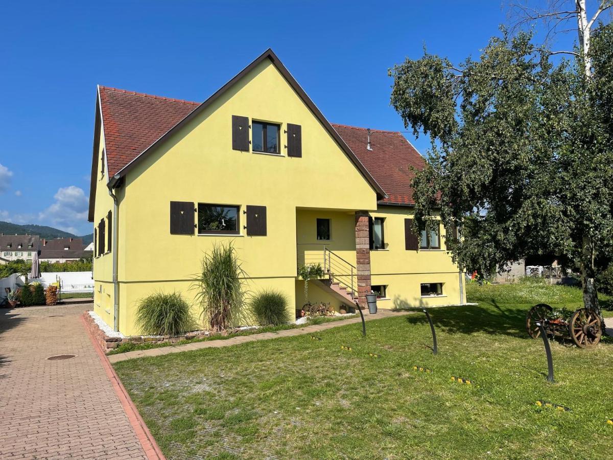 Alsacebnb - Gite 12 Personnes Dans Le Vignoble - Piscine Privee & Spa Ammerschwihr Eksteriør bilde