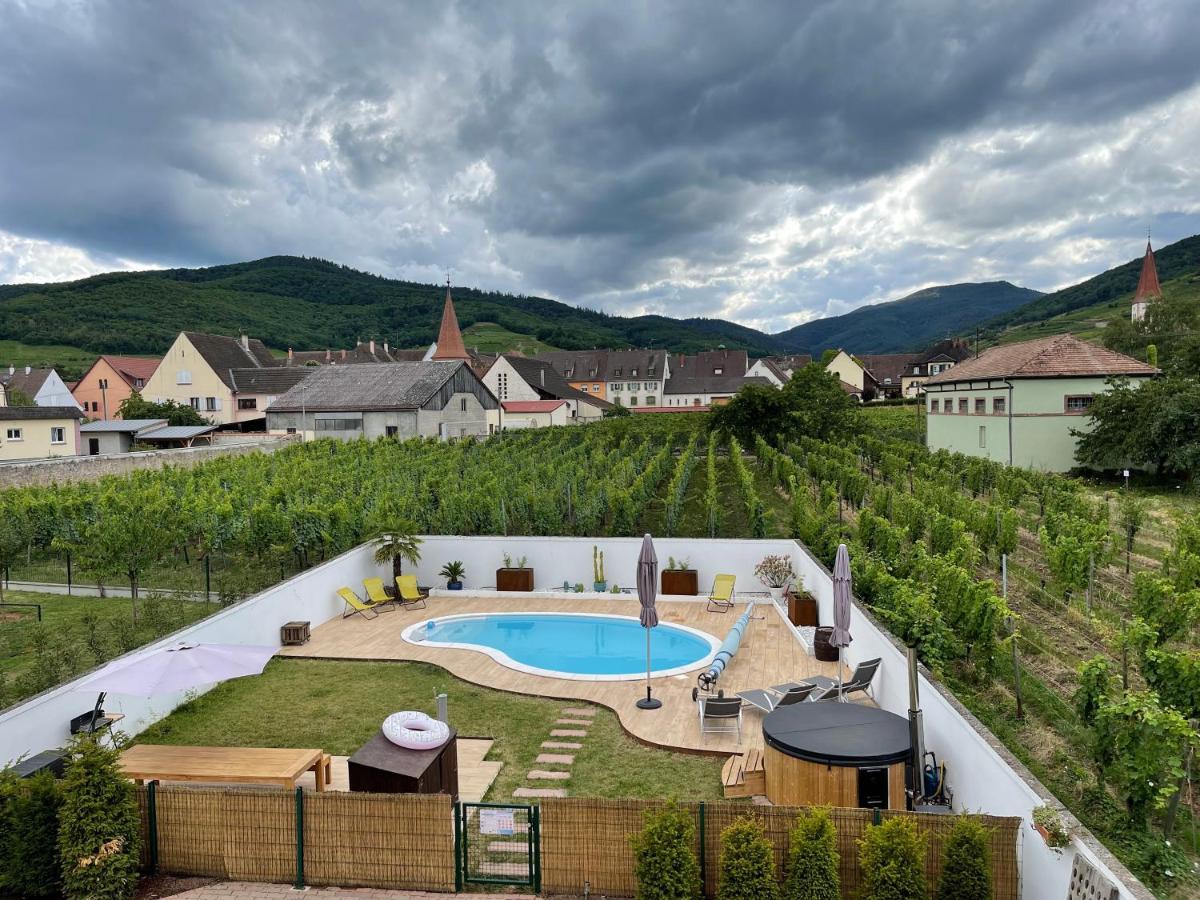 Alsacebnb - Gite 12 Personnes Dans Le Vignoble - Piscine Privee & Spa Ammerschwihr Eksteriør bilde