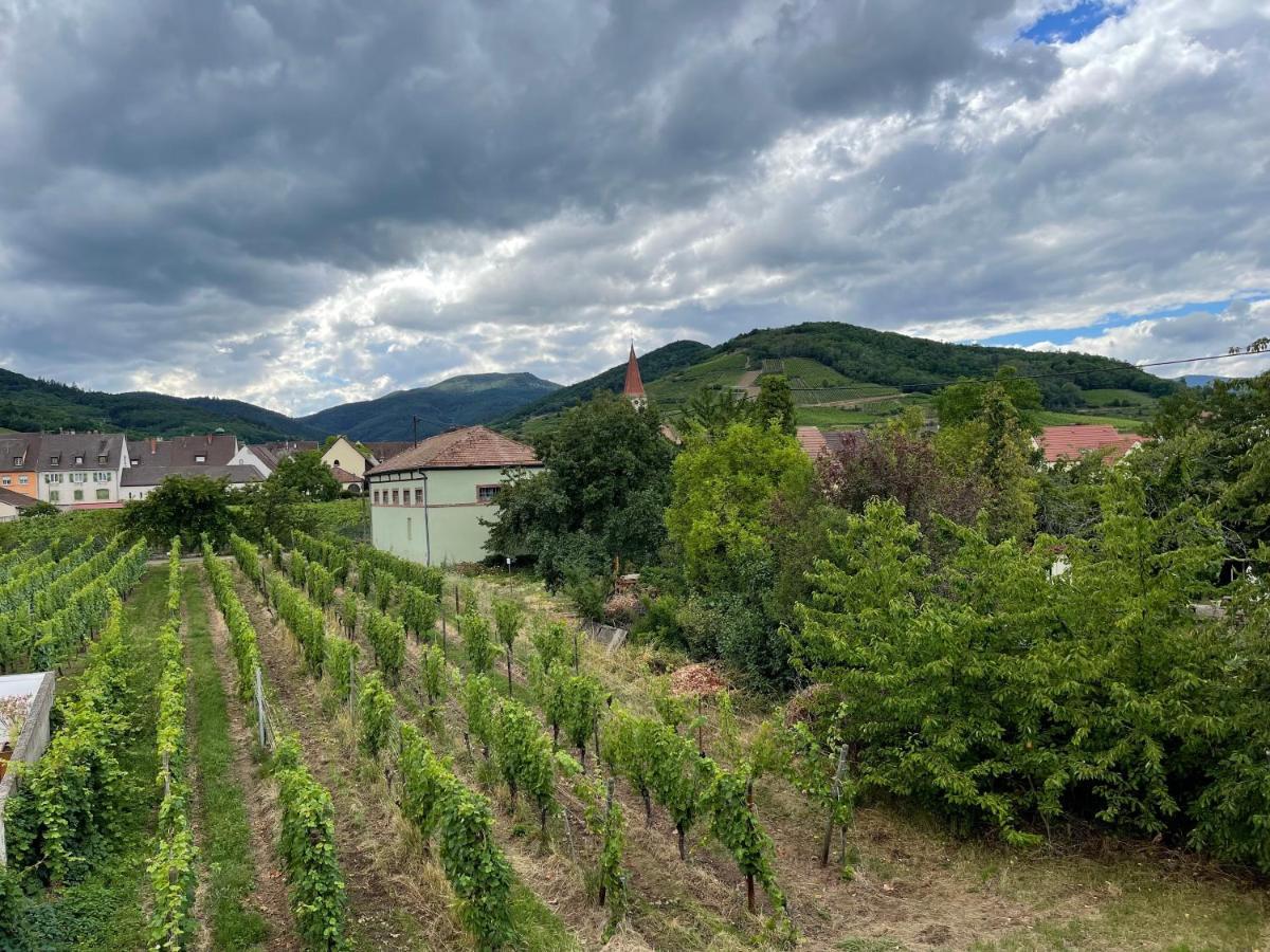Alsacebnb - Gite 12 Personnes Dans Le Vignoble - Piscine Privee & Spa Ammerschwihr Eksteriør bilde