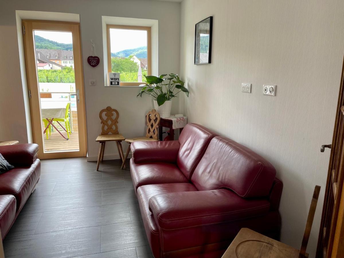 Alsacebnb - Gite 12 Personnes Dans Le Vignoble - Piscine Privee & Spa Ammerschwihr Eksteriør bilde