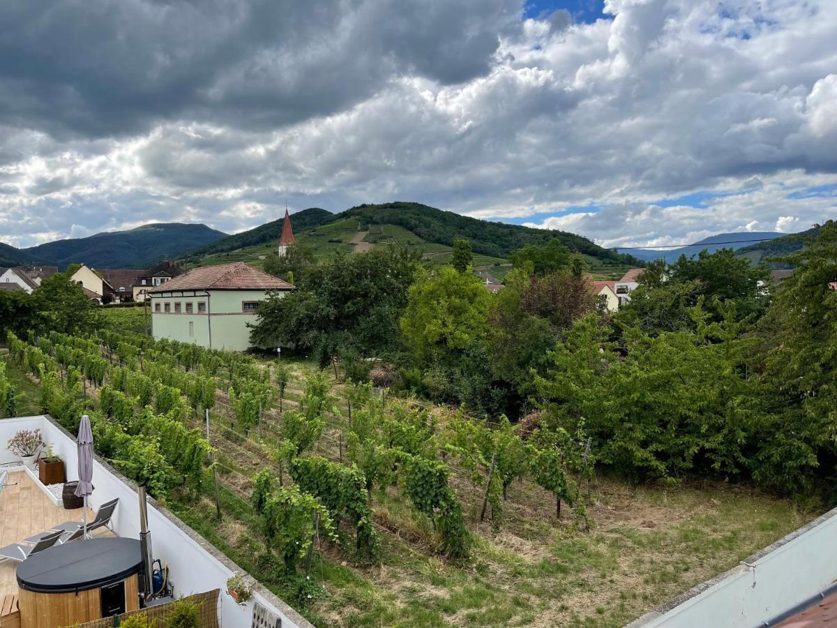 Alsacebnb - Gite 12 Personnes Dans Le Vignoble - Piscine Privee & Spa Ammerschwihr Eksteriør bilde
