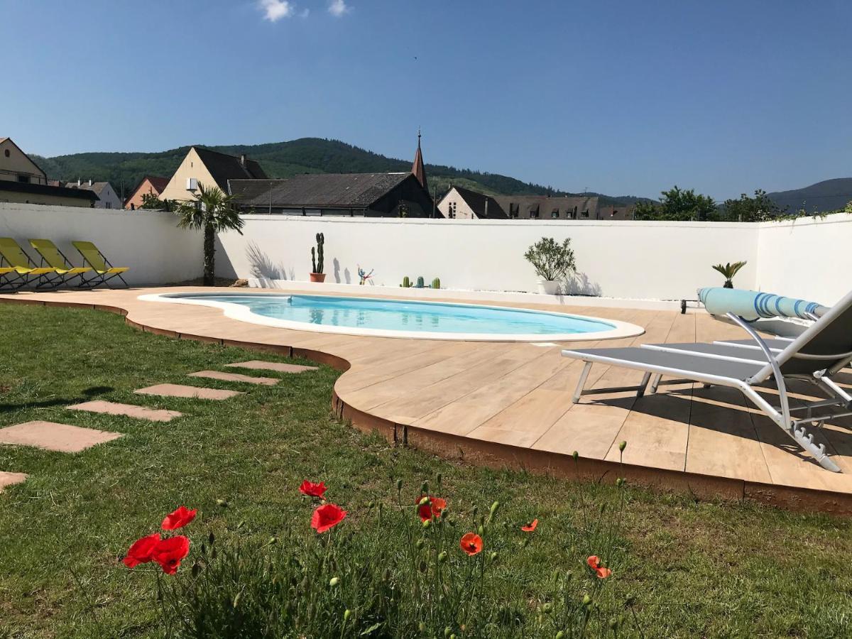 Alsacebnb - Gite 12 Personnes Dans Le Vignoble - Piscine Privee & Spa Ammerschwihr Eksteriør bilde